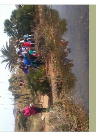 Jardín botánico abril 1°b