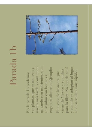 Jardín botánico abril 1°b