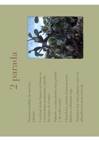 Jardín botánico abril 1°b