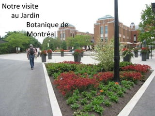Notre visite  au Jardin  Botanique de Montréal 