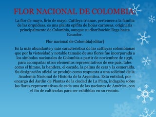 FLOR NACIONAL DE COLOMBIA:
La flor de mayo, lirio de mayo, Cattleya trianae, pertenece a la familia
de las orquídeas, es una planta epífita de hojas carnosas, originaria
principalmente de Colombia, aunque su distribución llega hasta
Ecuador.
Flor nacional de Colombia[editar]
Es la más abundante y más característica de las cattleyas colombianas
que por la vistosidad y notable tamaño de sus flores fue incorporada a
los símbolos nacionales de Colombia a partir de noviembre de 1936,
para acompañar otros elementos representativos de ese país, tales
como el himno, la bandera, el escudo, la palma de cera y la esmeralda.
Su designación oficial se produjo como respuesta a una solicitud de la
Academia Nacional de Historia de la Argentina. Esta entidad, por
encargo del Jardín de Plantas de la ciudad de La Plata, indagaba sobre
las flores representativas de cada una de las naciones de América, con
el fin de cultivarlas para ser exhibidas en su recinto.
 