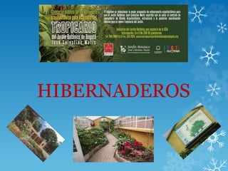 HIBERNADEROS
 