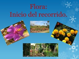Flora:
Inicio del recorrido.
 