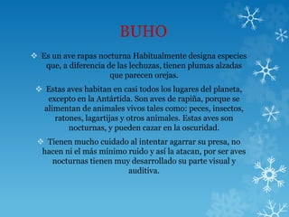 BUHO
 Es un ave rapas nocturna Habitualmente designa especies
que, a diferencia de las lechuzas, tienen plumas alzadas
que parecen orejas.
 Estas aves habitan en casi todos los lugares del planeta,
excepto en la Antártida. Son aves de rapiña, porque se
alimentan de animales vivos tales como: peces, insectos,
ratones, lagartijas y otros animales. Estas aves son
nocturnas, y pueden cazar en la oscuridad.
 Tienen mucho cuidado al intentar agarrar su presa, no
hacen ni el más mínimo ruido y así la atacan, por ser aves
nocturnas tienen muy desarrollado su parte visual y
auditiva.
 