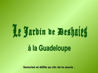 Le Jardin de Deshaies à la Guadeloupe Sonorisé et défile au clic de la souris . 