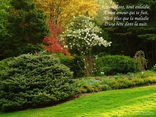 Ressemblant, tout enlaidie, A mon amour qui te fuit, N'est plus que la maladie D'une bête dans la nuit. 