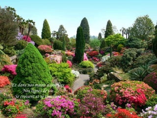Et dans nos mains assoiffées Nos lignes de vie Se croisent et se touchent 