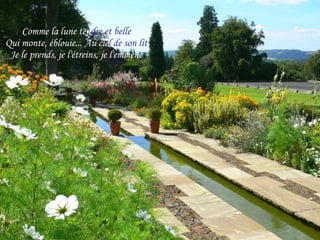 Comme la lune ten dre et belle Qui monte, éblouie... Au cie l de son lit Je le prends, je l'étreins, je l'emmène 