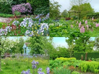 De rêve en rêve... 