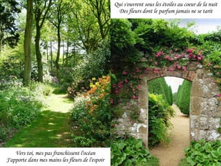 Vers toi, mes pas franchissent l'océan J'apporte dans mes mains les fleurs de l'espoir Qui s'ouvrent sous les étoiles au coeur de la nuit Des fleurs dont le parfum jamais ne se tarit 