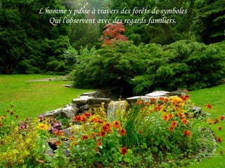L'homme y passe à travers des forêts de symboles Qui l'observent avec des regards familiers. 