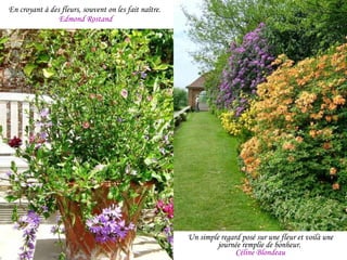 En croyant à des fleurs, souvent on les fait naître.  Edmond Rostand Un simple regard posé sur une fleur et voilà une journée remplie de bonheur.  Céline Blondeau 