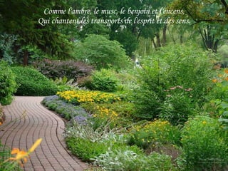 Comme l'ambre, le musc, le benjoin et l'encens, Qui chantent les transports de l'esprit et des sens. 
