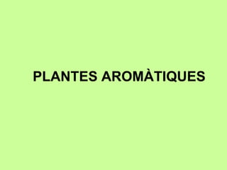 PLANTES AROMÀTIQUES 
 