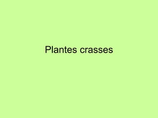 Plantes crasses 
 