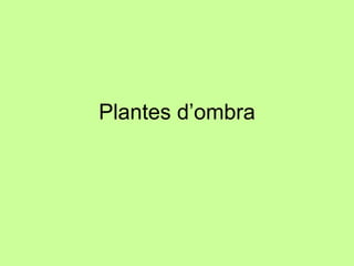 Plantes d’ombra 
 