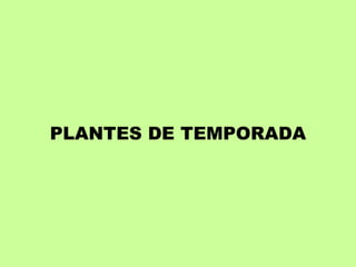 PLANTES DE TEMPORADA 
 