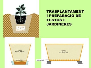 DRENATGE 
TERRA 
FERTILITZADA 
TERRA 
FERTILITZADA 
DRENATGE 
TRASPLANTAMENT 
I PREPARACIÓ DE 
TESTOS I 
JARDINERES 
 