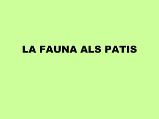 LA FAUNA ALS PATIS 
 
