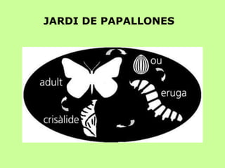 JARDI DE PAPALLONES 
 