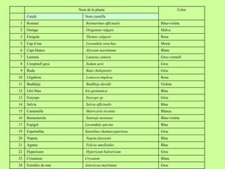 Nom de la planta Color 
Català Nom científic 
1 Romaní Rosmarinus officinalis Blau-violeta 
2 Orenga Origanum vulgare Malva 
3 Farigola Thymus vulgaris Rosa 
5 Cap d’ase Lavandula stoechas Morat 
6 Caps blancs Alyssum maritimum Blanc 
7 Lantana Lantana camara Groc-vermell 
8 Crespinell groc Sedum acre Groc 
9 Ruda Ruta chalepensis Groc 
10 Lligabosc Lonicera implexa Rosa 
11 Buddleja Buddleja davidii Violeta 
12 Lliri blau Iris germanica Blau 
13 Euryops Euryops sp Groc 
14 Salvia Salvia officinalis Blau 
15 Camamilla Matricaria recutita Blanca 
16 Rementerola Satureja montana Blau-violeta 
17 Espígol Lavandula spicata Blau 
19 Espernellac Santolina chamaecyparissus Groc 
20 Nepeta Nepeta faassenii Blau 
21 Agatea Felicia amelloides Blau 
22 Hypericum Hypericum balearicum Groc 
23 Crisantem Crysatem Blanc 
24 Estrelles de mar Asteriscus maritimus Groc 
 