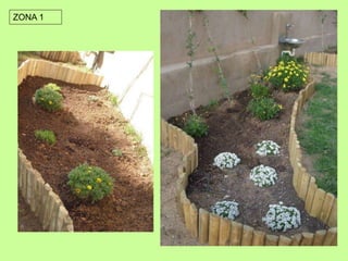 ZONA 1 
 