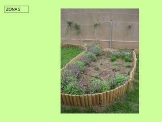 ZONA 2 
 