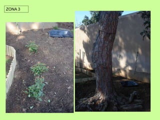 ZONA 3 
 