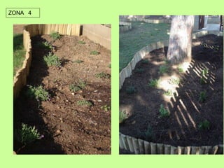 ZONA 4 
 