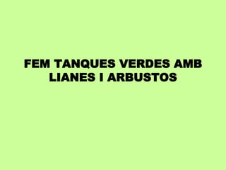 FEM TANQUES VERDES AMB 
LIANES I ARBUSTOS 
 