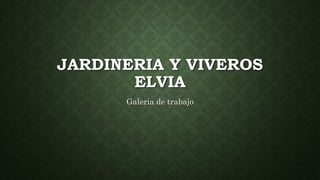 JARDINERIA Y VIVEROS
ELVIA
Galeria de trabajo
 