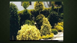 Jardineria y viveros