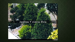 Jardineria y viveros