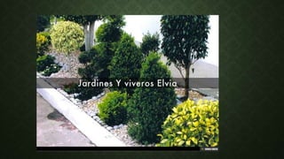 Jardineria y viveros