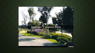 Jardineria y viveros