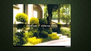 Jardineria y viveros