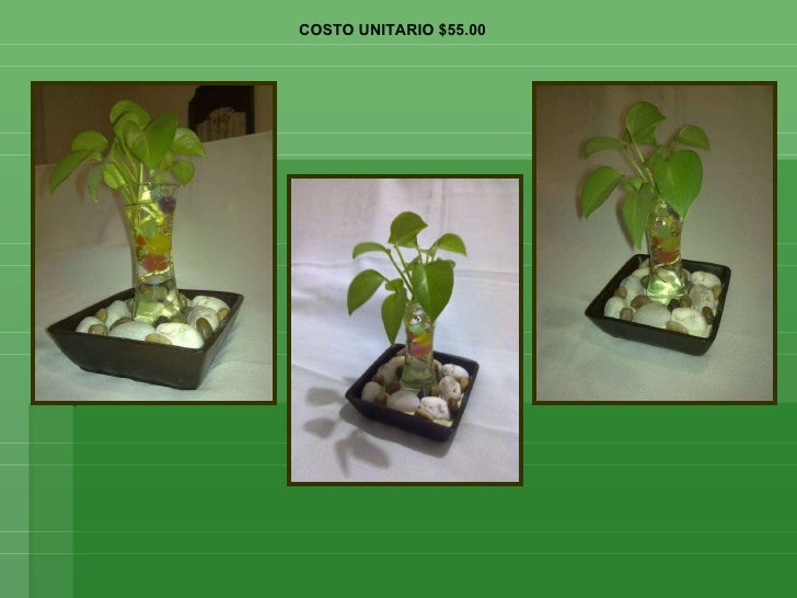 Jardines Zen para regalar