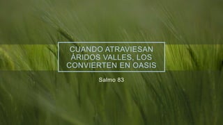 CUANDO ATRAVIESAN
ÁRIDOS VALLES, LOS
CONVIERTEN EN OASIS
Salmo 83
 