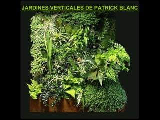 JARDINES VERTICALES DE PATRICK BLANC 