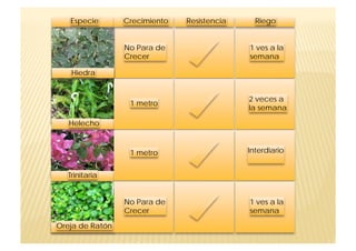Especie       Crecimiento   Resistencia     Riego


                 No Para de                  1 ves a la
                 Crecer                      semana

   Hiedra


                                             2 veces a
                  1 metro
                                             la semana

   Helecho


                  1 metro                    Interdiario


  Trinitaria


                 No Para de                  1 ves a la
                 Crecer                      semana

Oreja de Ratón
 