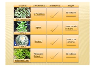 Especie       Crecimiento   Resistencia     Riego


                                             Interdiario
                 5 Pulgadas

Jamon con Pan


                                             3 veces a la
                   2 pies
                                             semana

   Romeo


                                              1 ves a la
                  1 metro                     semana

   Cactus


                 Altura de                   Interdiario
                 Arbusto

Arbolito Chino
 