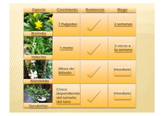 Especie     Crecimiento   Resistencia     Riego



             7 Pulgadas                  2 semanas

 Bromelia


                                         2 veces a
              1 metro
                                         la semana

 Helecho


             Altura de                   Interdiario
             Arbusto

Mandebila

             Crece
             dependiendo                 Interdiario
             del tamaño
             del tarro
Suculentas
 