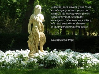 ¿Escucha, pues, un rato, y diré cosas estrañas y espantosas   poco a poco. Ninfas, a vos invoco; verdes faunos, sátiros y silvanos, soltá todos mi lengua en dulces modos  y sotiles, que ni los pastoriles ni el avena ni la zampoña suena como quiero. Garcilaso de la Vega  