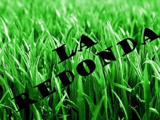 L
A
R
E
D
O
N
D
A
 
