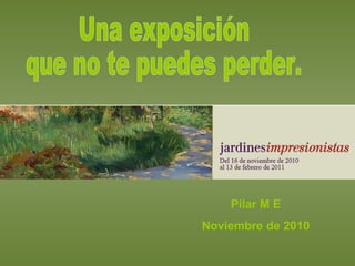 Una exposición  que no te puedes perder. Pilar M E Noviembre de 2010 