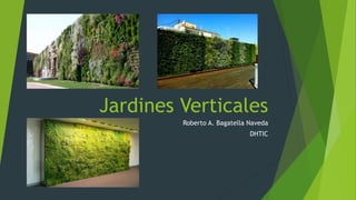 Jardines Verticales
Roberto A. Bagatella Naveda
DHTIC
 