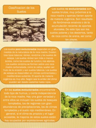 Clasificacion de los
Suelos
Los suelos no evolucionados son
suelos brutos, muy próximos a la
roca madre y apenas tienen aporte
de materia orgánica. Son resultado
de fenómenos erosivos o de la
acumulación reciente de aportes
aluviales. De este tipo son los
suelos polares y los desiertos, tanto
de roca como de arena, así como
las playas.
Los suelos poco evolucionados dependen en gran
medida de la naturaleza de la roca madre. Existen
tres tipos básicos: ránker, rendzina y los suelos de
estepa. Los suelos ránker son más o menos
ácidos, como los suelos de tundra y los alpinos.
Los suelos rendzina se forman sobre una roca
madre carbonatada, como la caliza, suelen ser
fruto de la erosión y son suelos básicos. Los suelos
de estepa se desarrollan en climas continentales y
mediterráneo subárido. El aporte de materia
orgánica es muy alto. Según sea la aridez del clima
pueden ser desde castaños hasta rojos.
En los suelos evolucionados encontramos
todo tipo de humus, y cierta independencia
de la roca madre. Hay una gran variadad y
entre ellos se incluyen los suelos de bosques
templados, los de regiones con gran
abundancia de precipitaciones, los de climas
templados y el suelo rojo mediterráneo. En
general, si el clima es propicio y el lugar
accesible, la mayoria de estos suelos están
hoy ocupados por explotaciones agrícolas.
 