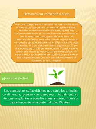Elementos que constityen el suelo
Los cuatro componentes principales del suelo son las rocas
(minerales), el agua, el aire y el material orgánico (hojas y
animales en descomposición, por ejemplo). El quinto
componente del suelo, el cual muchas veces no es tenido en
cuenta, es el mundo vivo que existe en la tierra - el
componente biológico. Los suelos ricos de los jardines están
compuestos por aproximadamente un 45 por ciento de rocas
y minerales, un 5 por ciento de materia orgánica, un 25 por
ciento de agua y otro 25 por ciento de aire. Todos los suelos
poseen una mezcla de los cinco componentes básicos, y la
mayoría de los suelos pueden ser modificados para mejorar
esa composición para que sean más adecuados para el
desarrollo de la vida vegetal.
¿Qué son las plantas?
Las plantas son seres vivientes que como los animales
se alimentan, respiran y se reproducen. Actualmente se
denominan plantas a aquellos organismos individuos o
especies que forman parte del reino Plantae.
 