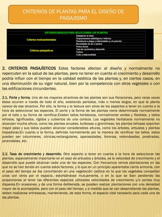 CRITERIOS DE PLANTAS PARA EL DISEÑO DE
PAISAJISMO
2. CRITERIOS PAISAJÍSTICOS Estos factores afectan al diseño y normalmente no
repercuten en la salud de las plantas, pero no tener en cuenta el crecimiento y desarrollo
podría influir con el tiempo en la calidad estética de las plantas y, en ciertos casos, en
una disminución de su vigor natural, bien por la competencia con otros vegetales o con
las edificaciones circundantes.
2.1. Porte y forma. Uno de los mayores atractivos de las plantas son sus floraciones, pero raras veces
éstas ocurren a través de todo el año, existiendo períodos, más o menos largos, en que la planta
carece de ese atractivo. Por ello, la forma y la textura son otros de los aspectos a tener en cuenta a la
hora de seleccionar las especies. El porte y la forma de las plantas viene determinada normalmente
por el tallo y su forma de ramificar.Existen tallos herbáceos, normalmente verdes y flexibles, y tallos
leñosos, lignificados, rígidos y cubiertos de una corteza. Los vegetales herbáceos normalmente no
alcanzan mucha altura, como las plantas anuales, bulbosas o gramíneas; las plantas leñosas soportan
mayor peso y sus tallos pueden alcanzar considerables alturas, como los árboles, arbustos y plantas
trepadoras.En cuanto a la forma, definida normalmente por la manera de ramificar los tallos, estas
pueden ser columnares, cónicas,rectangulares, aparasoladas, lloronas, redondeadas, prostradas,
piramidales, etc.
2.2. Tasa de crecimiento y desarrollo. Otro aspecto a tener en cuenta a la hora de seleccionar las
plantas, especialmente importante en el caso de arbustos y árboles, es la velocidad de crecimiento y el
desarrollo que puede alcanzar cada una de las especies. Con frecuencia vemos plantaciones en las
que no se han tenido en cuenta estos factores, y lo que en un principio aparentaba cierta armonía, con
el paso del tiempo se iba convirtiendo en una vegetación caótica en la que los vegetales competían
unos con otros por el espacio, estorbándose mutuamente, o en la que se íban perdiendo las
proporciones al tener las diferentes especies utilizadas velocidades de crecimiento y/o portes muy
dispares.En ocasiones, y de una forma deliberada, se pueden realizar plantaciones con una densidad
mayor de la aconsejable, pero con el paso del tiempo, y a medida que se van desarrollando las plantas,
deben realizarse entresacas, manteniendo, de esta forma, el espacio vital necesario para cada una de
las plantas.
 