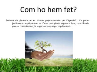 Com ho hem fet? Activitat de plantada de les plantes proporcionades per l’Agenda21. Els pares jardiners els expliquen on ha d’anar cada planta segons la llum, com s’ha de plantar correctament, la importància de regar regularment.  